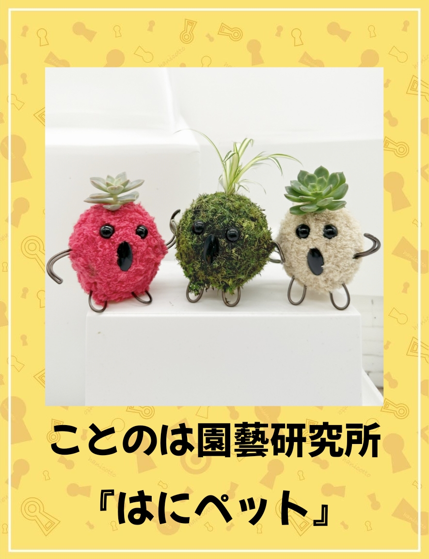 ことのは園藝研究所 [ モフモフモスペット ] | 古墳フェス はにコット